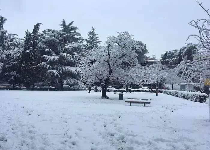 Al Giglio D'oro Pensión 3*